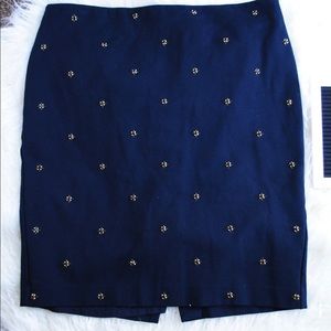 Ann Taylor Skirt